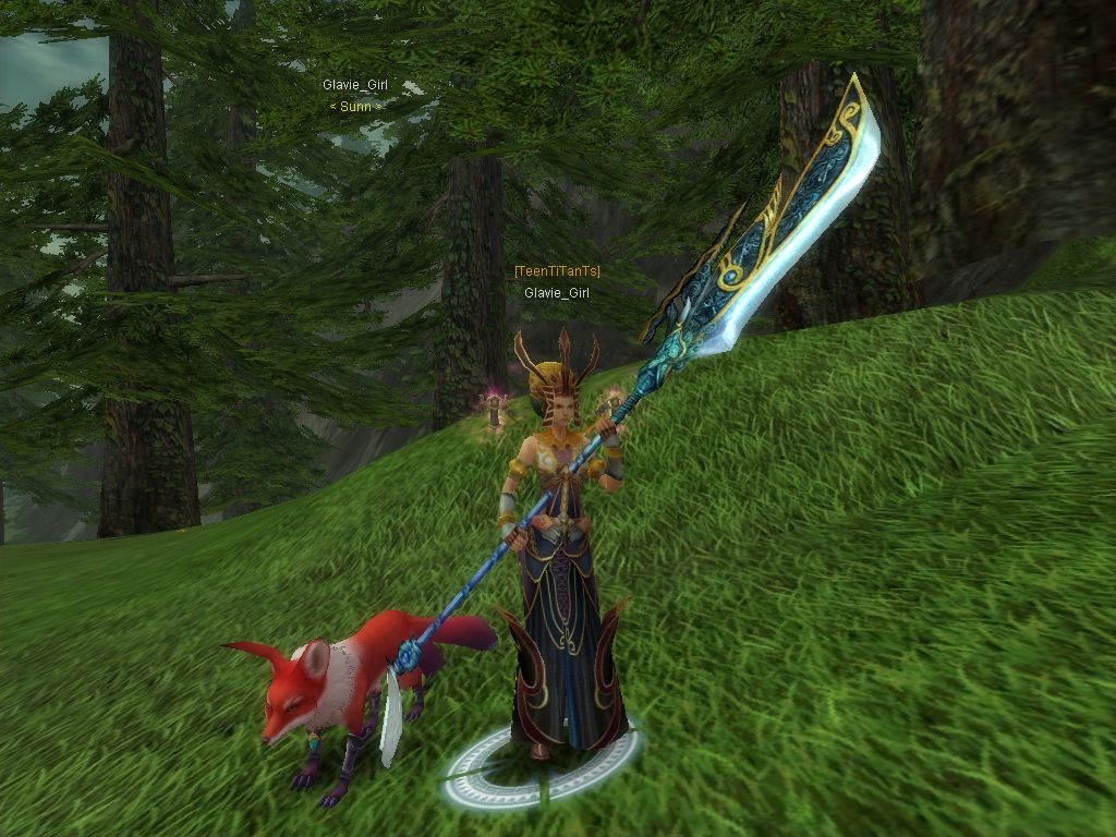 SRO[2008-11-01 13-33-29]_17.jpg