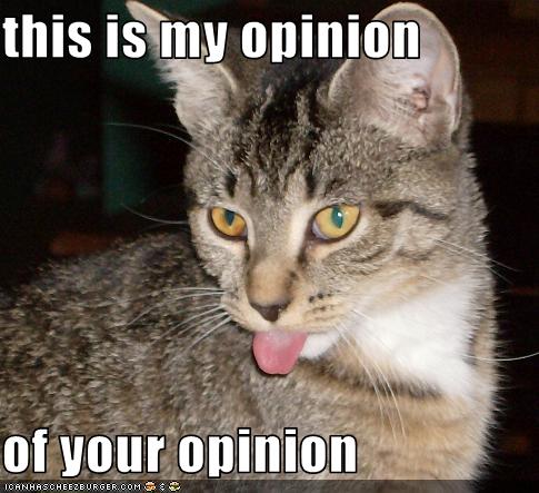lolcat.jpg