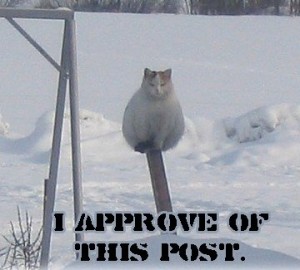 approve-of-this-post-300x270.jpg