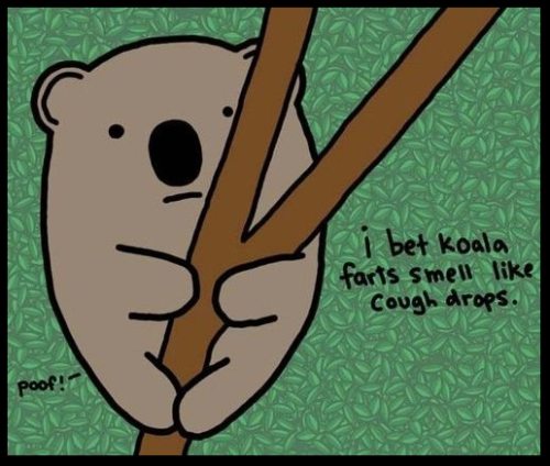 koalafarts.jpg