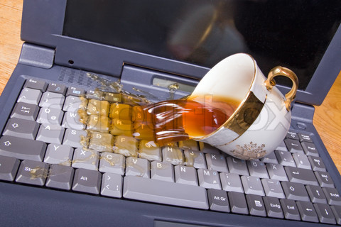 who wants a tea cup =p.jpg