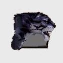 Jaguar.jpg